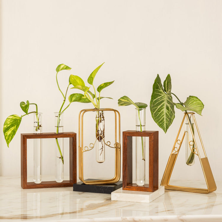 Test Tube (Hydroponic) Planters