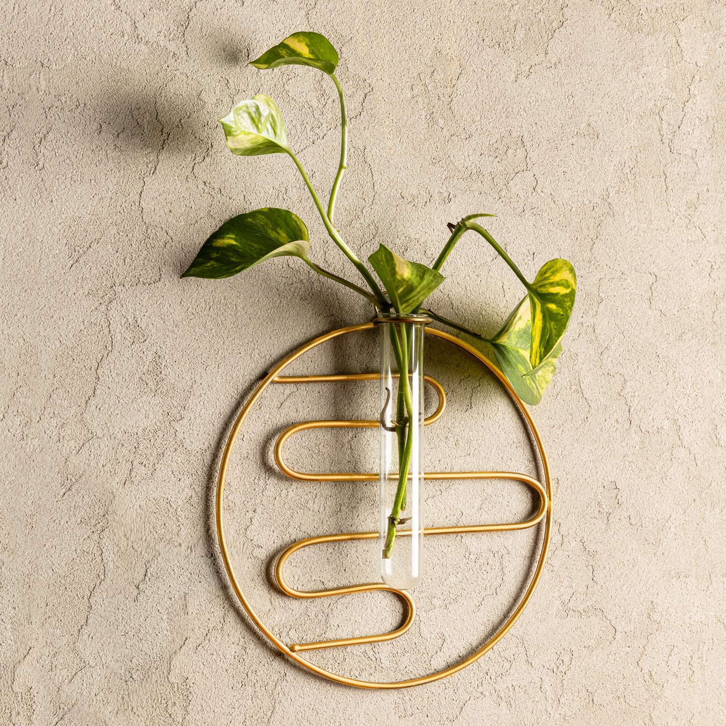 Wall Hanging Test Tube Planter