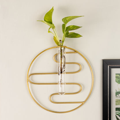 Wall Hanging Test Tube Planter