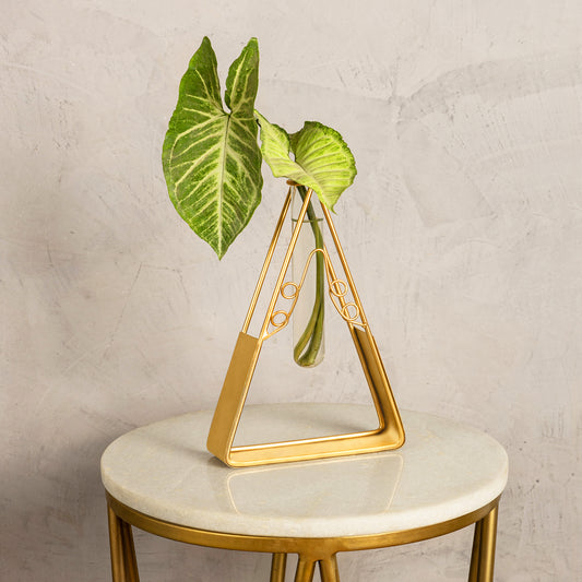 Triangular Test Tube Planter